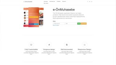 e-onmuhasebe.com